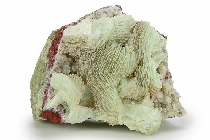 Green, Bladed Prehnite Crystals with Quartz - Morocco #292258